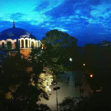 Star * Sofia